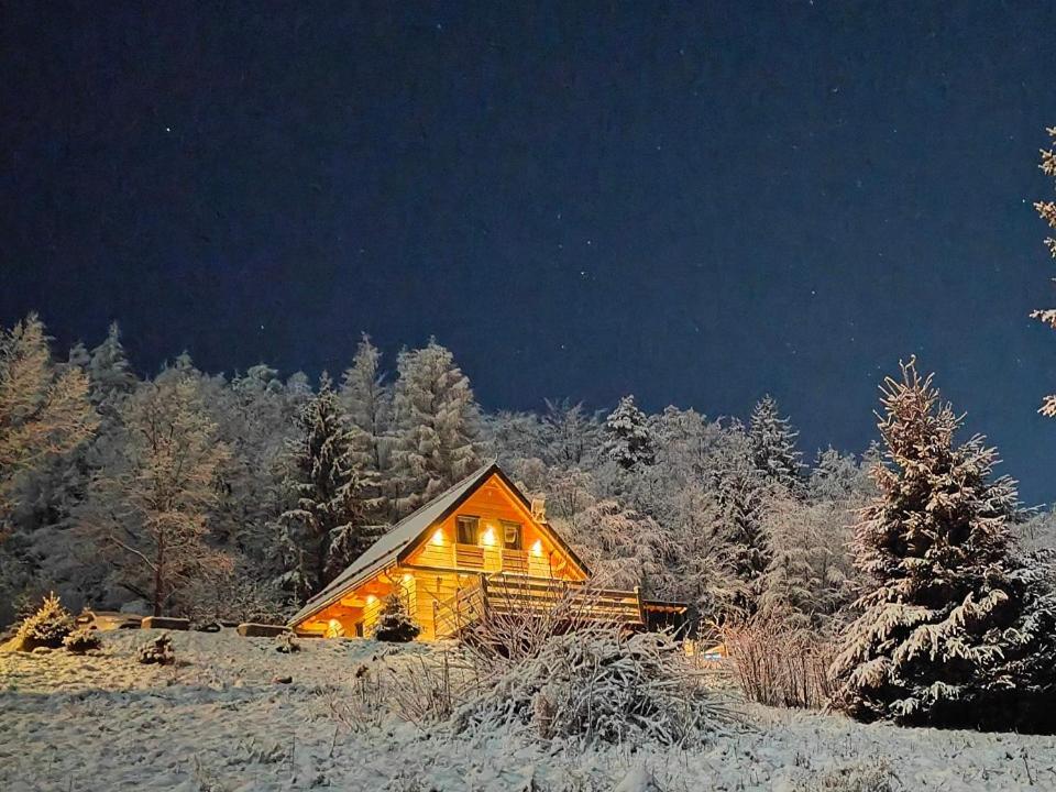 Gorskie Domki W Karkonoszach Z Widokiem بودوغوجن المظهر الخارجي الصورة